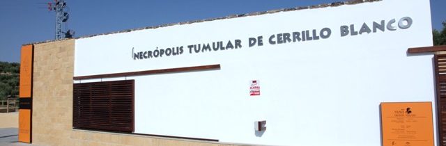 Visitas Guiadas a Cerrillo Blanco