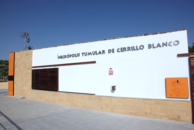 Visitas Guiadas a Cerrillo Blanco