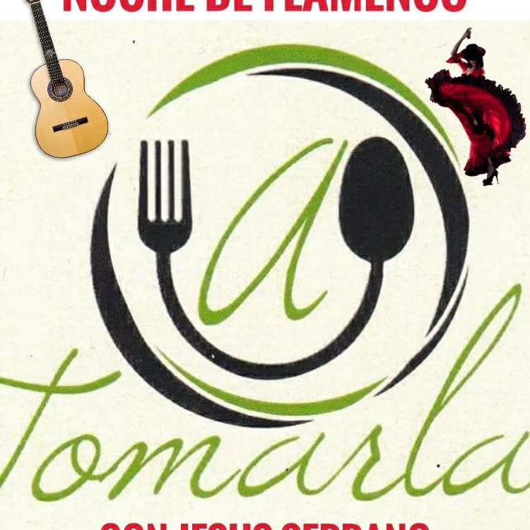 Noche de  flamenco