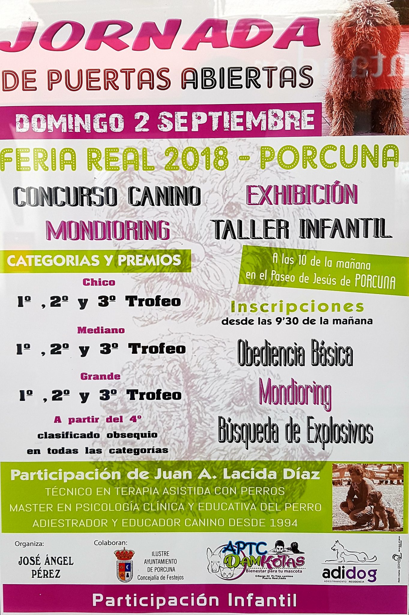 Exhibición Canina