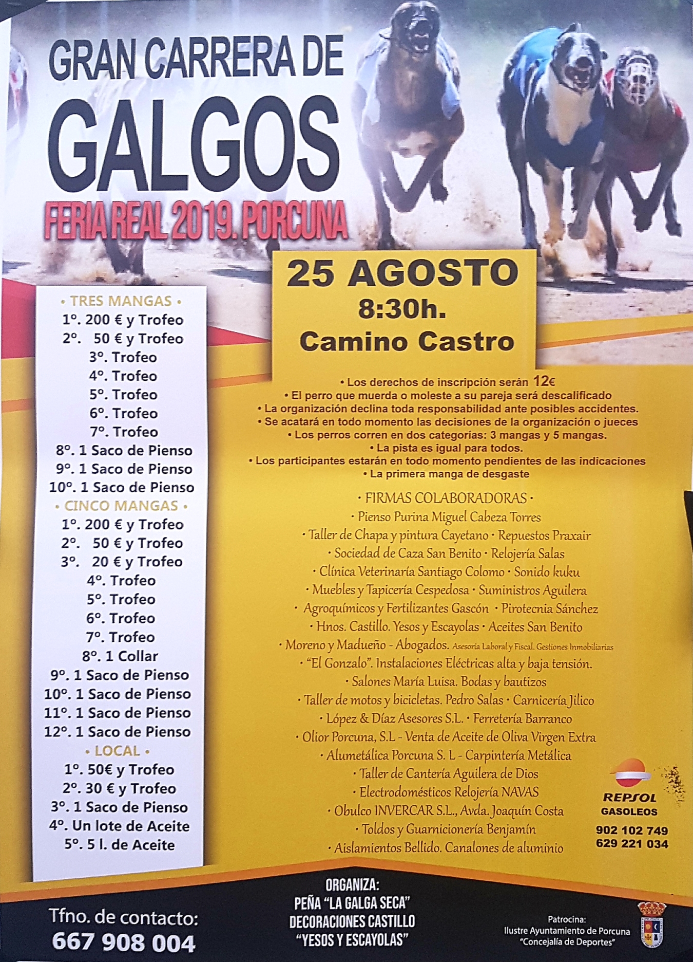 Carrera de Galgos